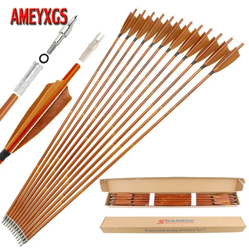 Archery Target Face - 6/12 adet Karışık Karbon Oklar SP500